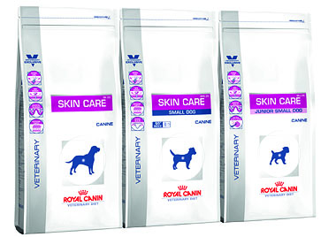 Royal canin skin care junior clearance small dog